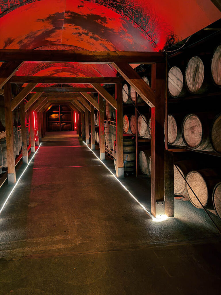 entrance packed with rum barrel which is the puerto plata rum tour Macorix house