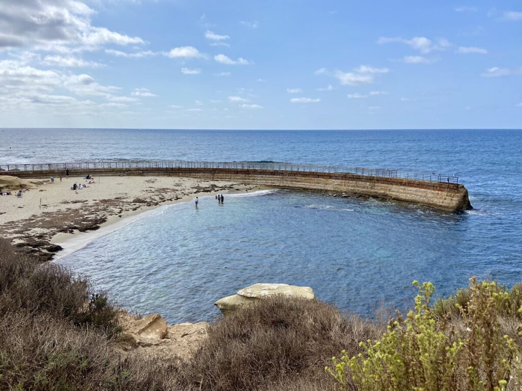 The Children's Pool La Jolla CA