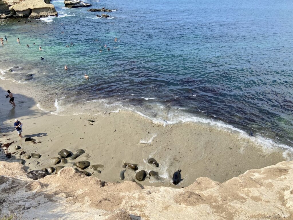 La Jolla Cove Beach San Diego