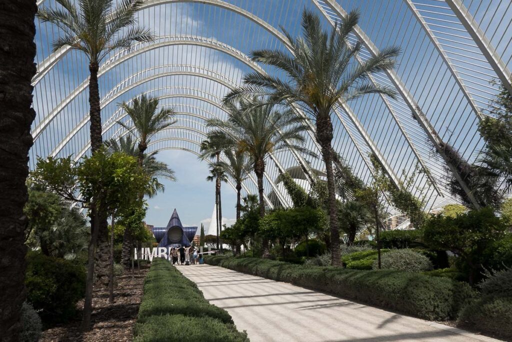 a walkway between palm trees, this is the beautiful walkway of the Umbracle at the City of Arts and Sciences in Valencia