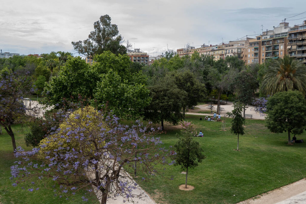 the turia park with trees and people sitting on grass in Valencia Spain