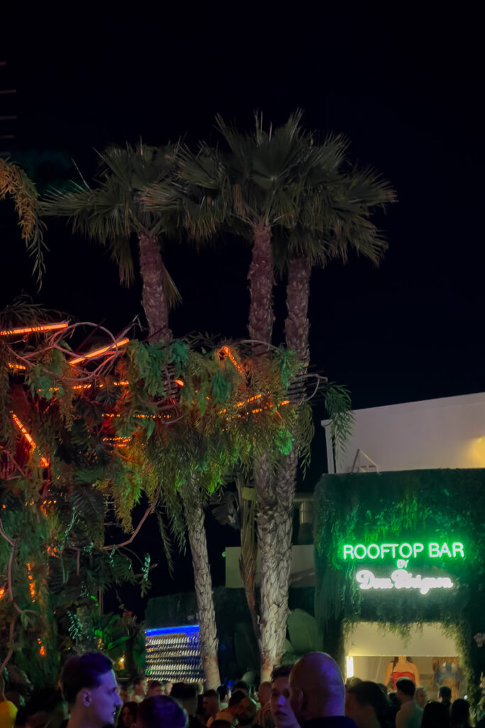 palms with lighting from the magic garden in club ibiza Hi ibiza