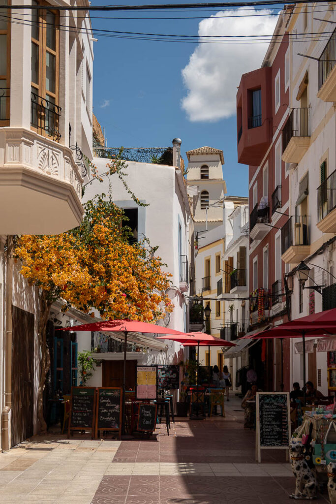 white structures, plants and umbrellas when visit ibiza old town which is what to do in cruise dock in ibiza