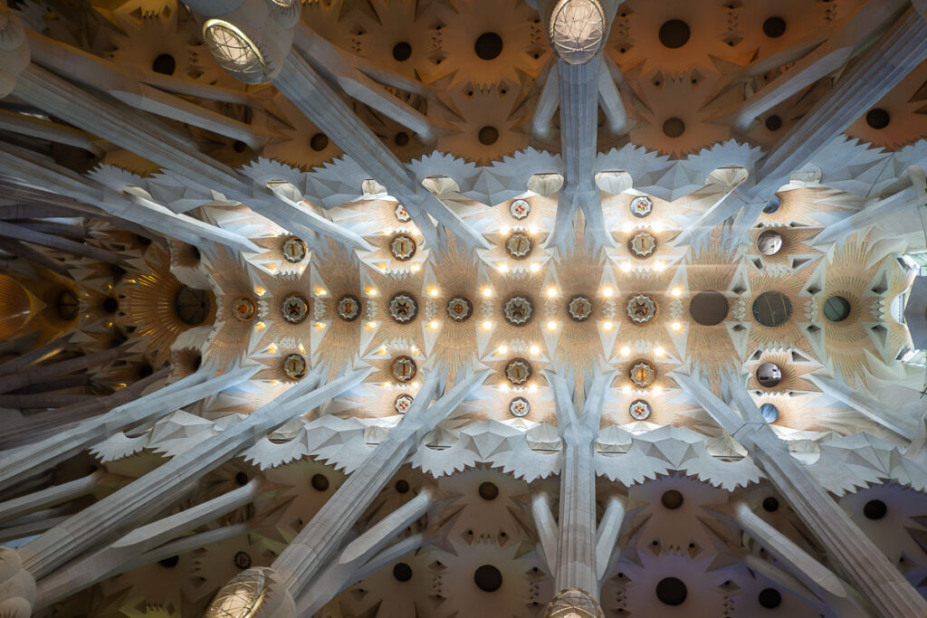 organic details of a ceiling which represents La Sagrada Familia ceiling in Spain