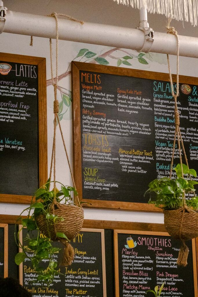 under the mango tree menu vegan south beach miami