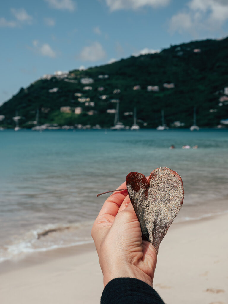 hand holding a leaf at the best beach in tortola the cane garden bay