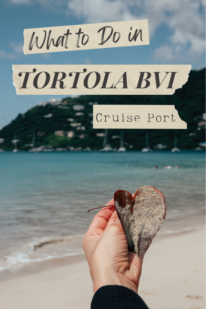 a hand with a leaf and the beach in the background which is the cane garden bay beach in tortola