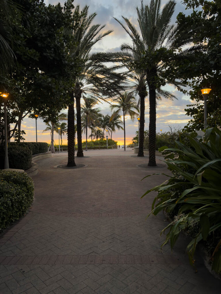 palms and brick road which represents the miami boadwalk and the entrance to beaches in south beach miami
