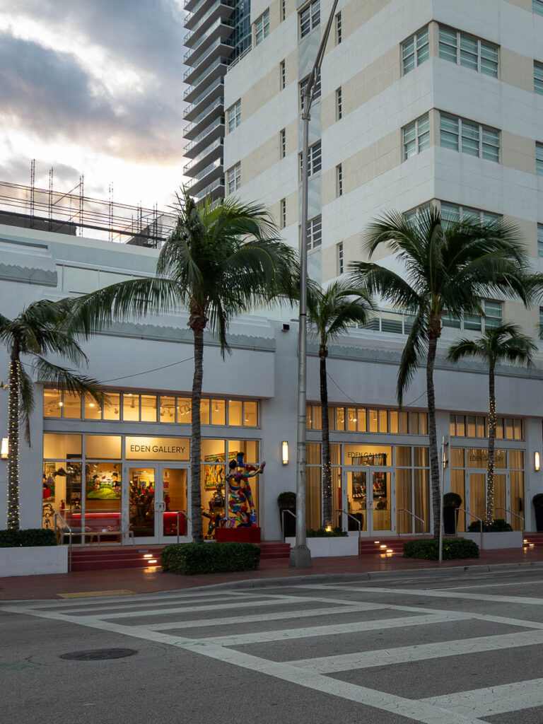 palm and a building which represents the eden gallery at miami at collins avenue which represents a perfect day in miami
