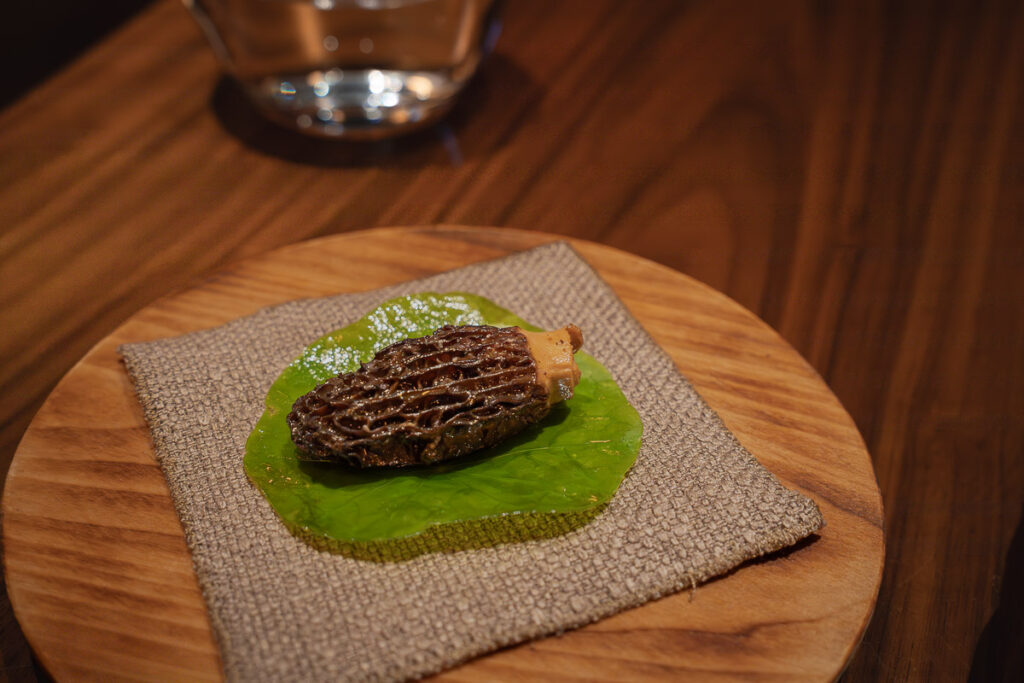 Wild Mushroom Encanto Restaurant Lisbon