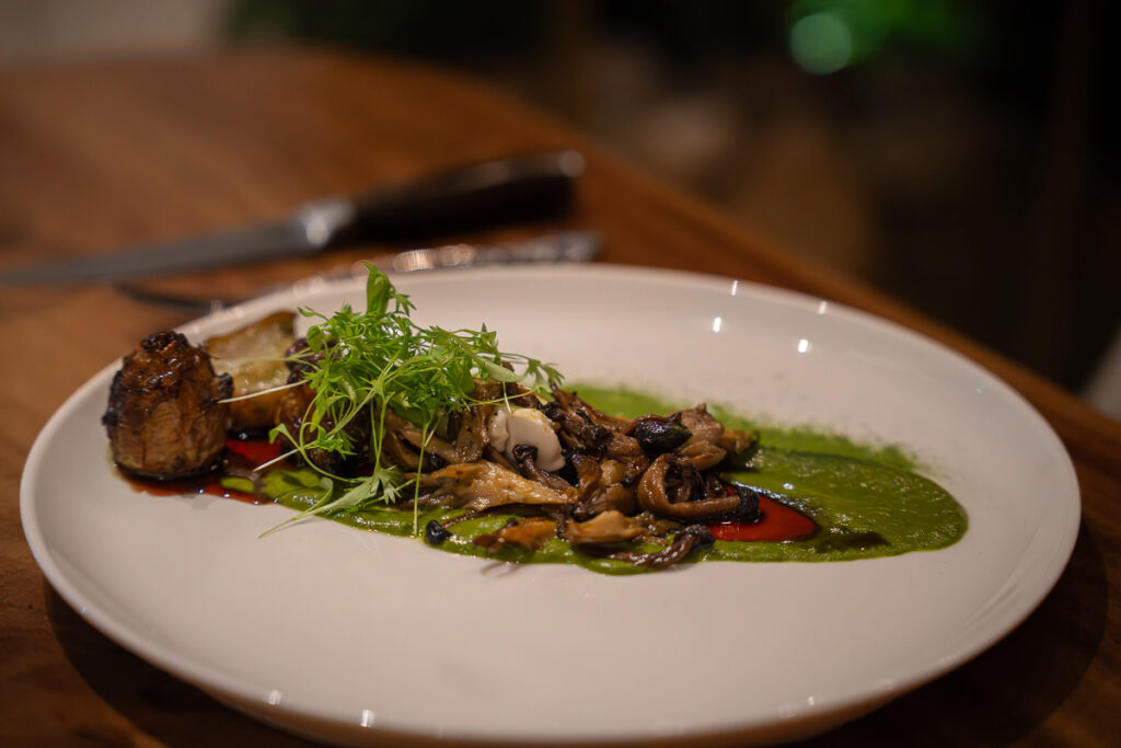 Mushroom Sawtooth Cilantro Sauce El Cielo Miami Michelin Restaurant Brickell