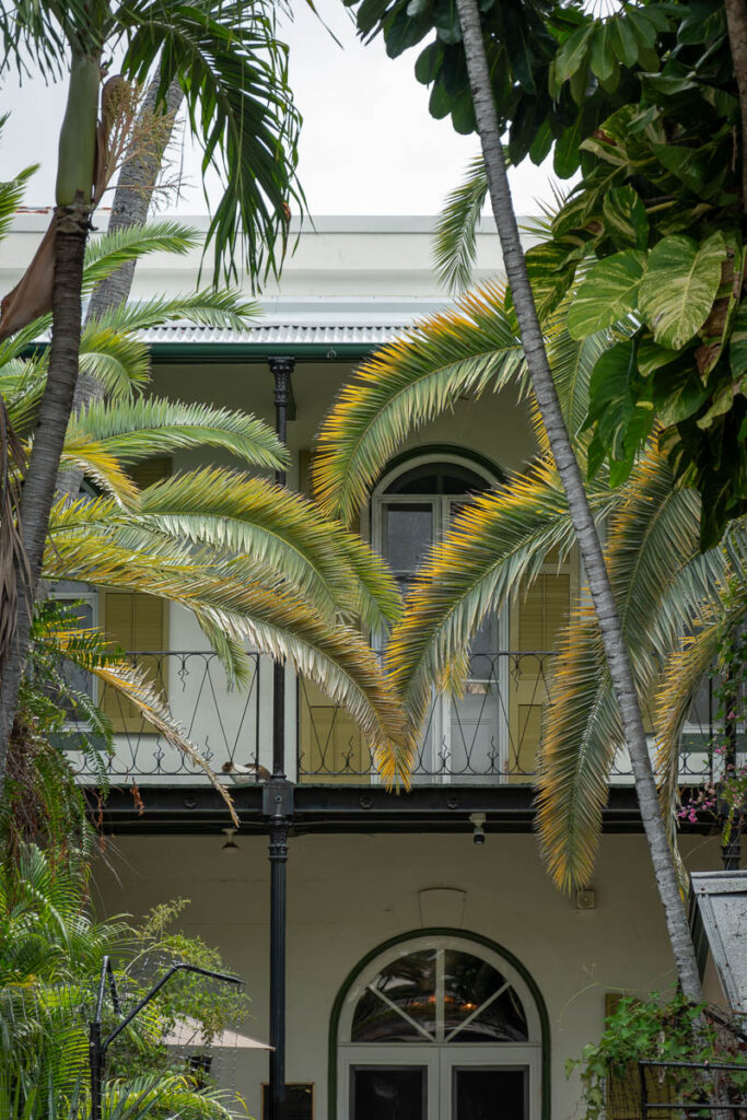 Hemingway House Museum Key West a What to Do for a Day