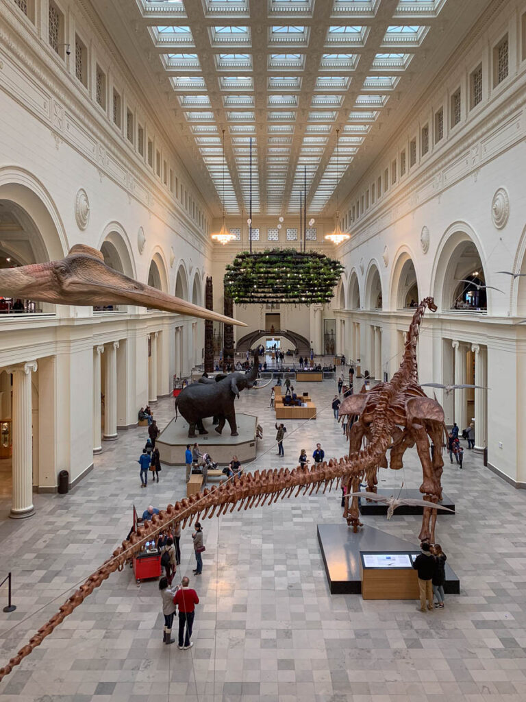 First Time to Chicago Field Museum Dinosaurs